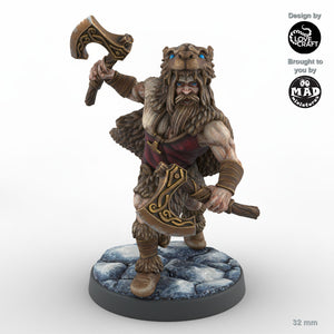 Viking Ulfhedinn