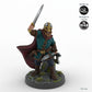 Viking Warrior Commander B