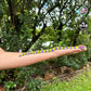 Small version of Stuffed Snake held by a person, illustrating its 340mm length and delightful, eerie design.